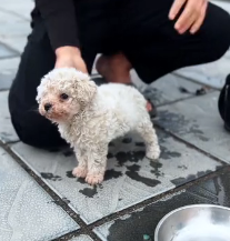 N2201099 Alone, Injured, and Fighting to Stay Alive