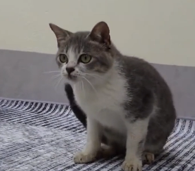 N2801011 He Lay There in Pain as Time Slowly Ran Out