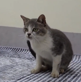 N2801011 He Lay There in Pain as Time Slowly Ran Out