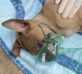 N2801017 This Moment Changed Everything… Part 2