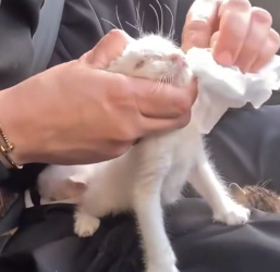 N2801018 He Stopped Moving… And Everyone Panicked