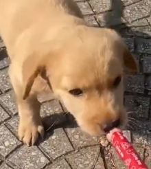 N2801026 This Look in His Eyes Said Everything… Part 2