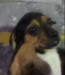 N2801027 He Stopped Moving… And That’s When Everything Changed