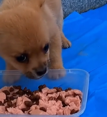 N2801028 Cold, Hurt, and Alone… How Long Could He Last