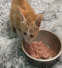 N2801036 This Was Supposed to Be His Last Moment… Or Was It