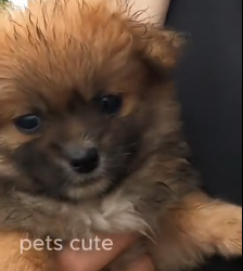 N2801039 He Was Exhausted, Scared… and Almost Gave Up