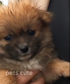 N2801039 He Was Exhausted, Scared… and Almost Gave Up