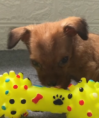 N2801041 Every Car Passed By… But No One Stopped