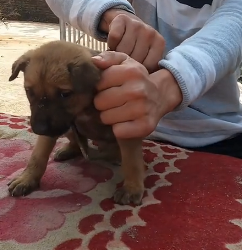 N2801043 He Lay There in Pain While Time Kept Passing