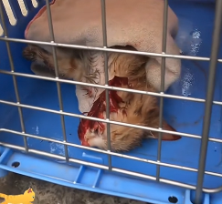 N2801044 This Should’ve Been the End… But Something Happened Part 2