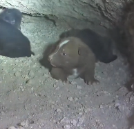 N3101011 Every Second Counted… One Delay Could Have Ended Everything