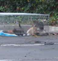 N3101013 Just Born, Cold and Exposed… These Newborns Shouldn’t Be Here