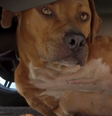 N3101015 While Everyone Celebrated, He Lay There Injured and Forgotten