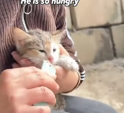 N0301030 If you see happen in your neighborhood will you help poor k…