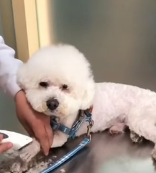 N0201017 What he was rummaging through wasn trash,but hope. #rescue #cute