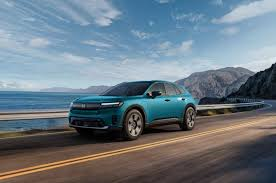 N3101010 Hiding in the Bushes, Terrified and Hurt… We Had No Idea What We’d Find - Image 2