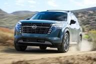 N3101010 Hiding in the Bushes, Terrified and Hurt… We Had No Idea What We’d Find - Image 3