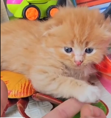 N2801031 Left in Danger… And No One Stopped