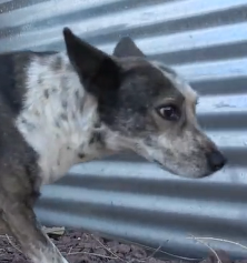 N3101032 Some Stories Are Too Painful for One Minute… This Is One of Them