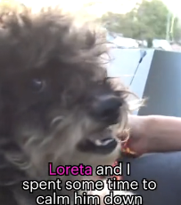 N3101038 Kids Found Him Hurt and Alone… One Call Changed Everything