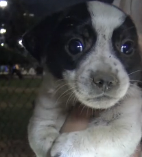 N3101039 While the World Talked About Candy… This Life Was Slipping Away