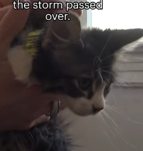 N3101041 No Capes, No Glory… Just a Life Hanging in the Balance