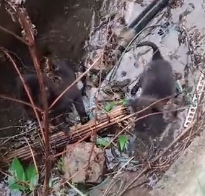 N0402052 One Last Look in His Eyes… Before Everything Changed