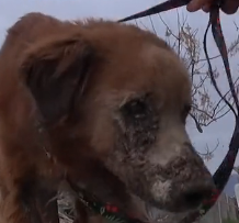 N3101020 Some Moments Were Too Painful to Film… But the Suffering Was Real