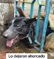 N0502051 Struggling to Breathe… And No One Came to Save Him