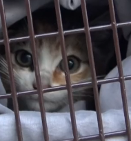 N3101021 Trapped Underground… Every Move Had to Be Perfect