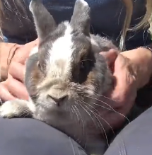 N3101025 Abandoned in a Cemetery, Crying for Help… This Wasn’t the First Time