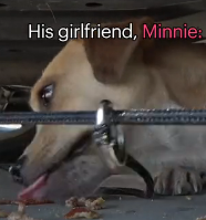 N3101017 We’ve Never Seen Pain Like This… And Somehow It Was Still Holding On