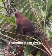 N0202002 They Had No Survival Skills, And the World Was Already Too Cruel