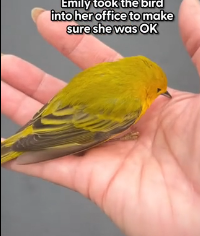 N0202006 Sometimes Those We Love Come Back Just to Say Goodbye