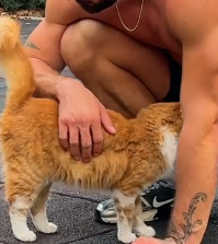 N0202009 The Moment She Climbed Onto Him, It Was Clear She Was Asking for Help