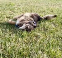 N0202013 Out of Everyone Around, She Chose Him Without Hesitation