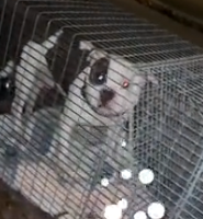 N0202017 Injured and Afraid, He Hid Alone in an Abandoned House Waiting for Help