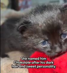 N0202018 Small, Scared, and Clinging Tight, She Knew Exactly Who She Trusted