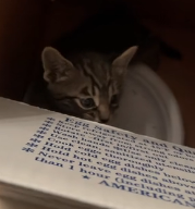 N0202019 The Moment She Took Him Inside, Everything Started to Change