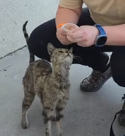 N0202020 She Was Hurt, Scared, and Invisible Until One Person Finally Cared