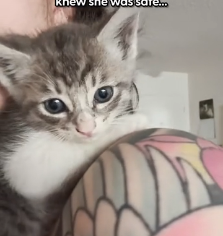 N0202021 Injured and Fragile, She Stole Her Foster Mom’s Heart Instantly