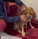 N0202022 After So Much Pain and Darkness, He Finally Felt the Sun on His Face Again