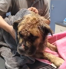 N0202031 He Sleeps So Peacefully Now, You’d Never Guess His Past