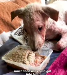 N0202044 This Transformation Happened When No One Thought He’d Make It