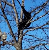 N0202049 Injured and Alone, He Didn’t Know Hundreds of People Were Worried About Him