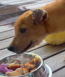 N0202050 After a Life Without Love, She Finally Felt What Safety Means