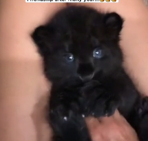 N0302004 Years Apart, Pain Unspoken… This Reunion No One Expected