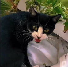 N0302030 A Mother’s Fear Was Breaking Her… She Just Wanted Her Babies Safe