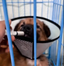 N0302032 Moments From Giving Up… This Rescue Came Just in Time