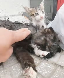 N0302049 Ignored by the World… Until One Man Finally Stopped